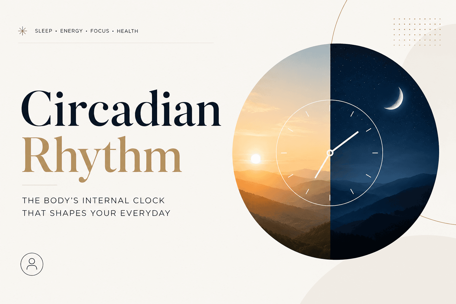 Circadian Rhythm: The Body's Internal Clock That Shapes Your Daily Life